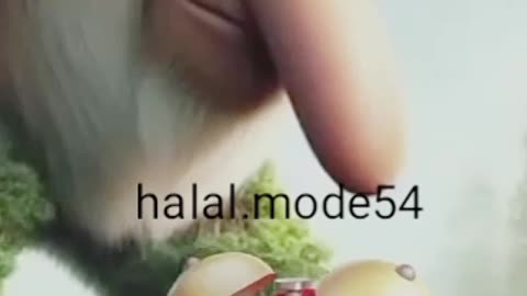 Nada dering tung tung saur