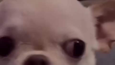 Fun