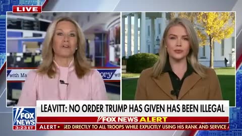 Karoline Leavitt puts Dems on BLAST