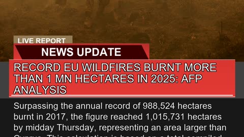 Record EU Wildfires Burnt More Than Mn Hectares