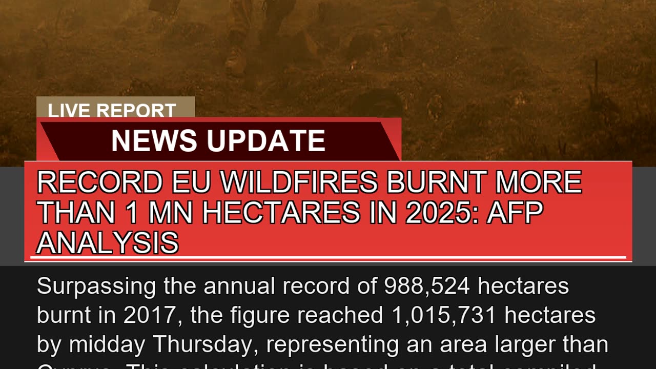 Record EU Wildfires Burnt More Than Mn Hectares