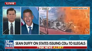 DUFFY: Plan to REVOKE Gavin Newsom's ability to issue CDLs in CA b/c he CONTINUES giving them away like candy to illegal aliens