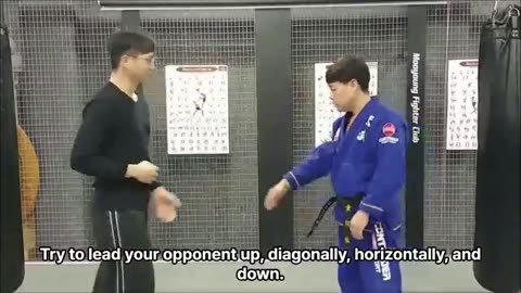 Hapkido