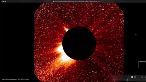 These people have NO IDEA what they were looking at!