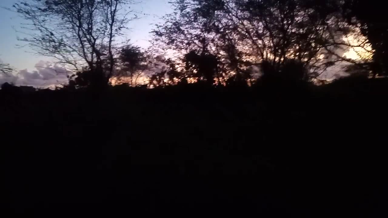 Benefits Of Moonlight