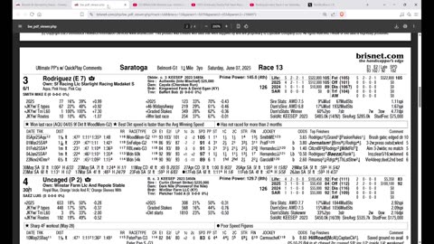Capping Corner - Belmont Stakes 2025 at Saratoga - Can Baeza or Rodriguez Beat Journalism?