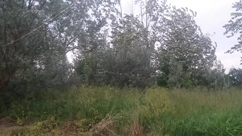 Permanentne huczenie wiatru