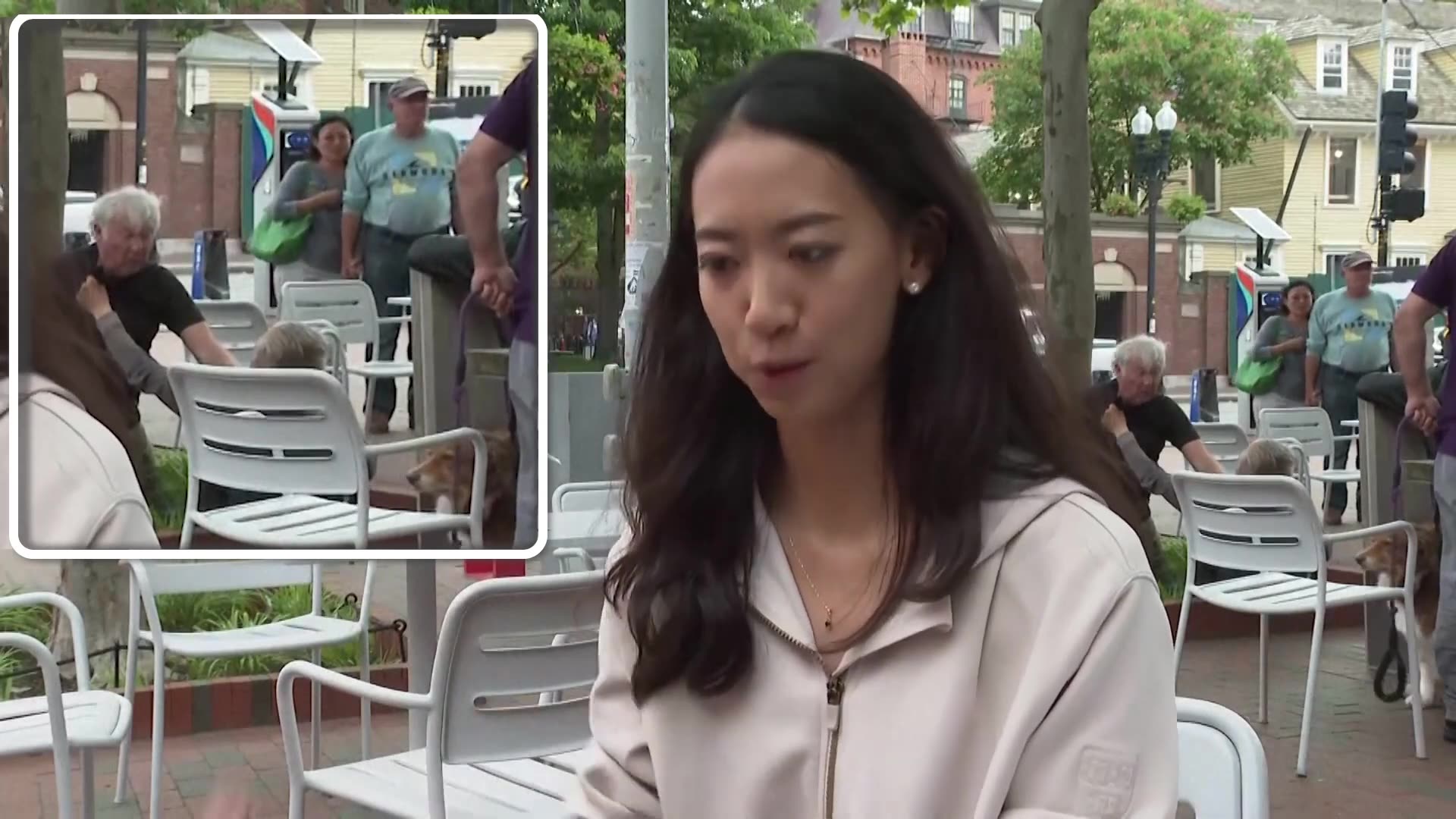 Oblivious Harvard student preaches unity – as BRAWL breaks out behind her