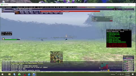 Playing Final Fantasy XI Online