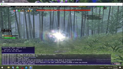 Playing Final Fantasy XI Online