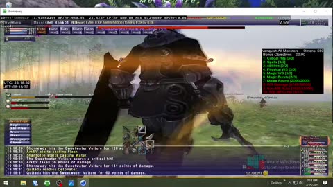 Playing Final Fantasy XI Online