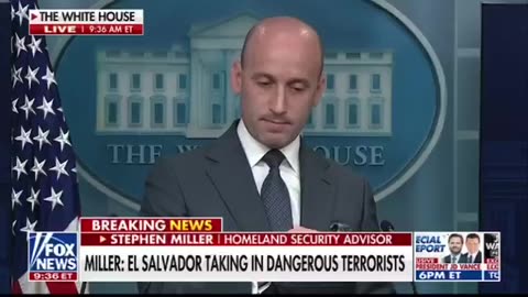 Stephen Miller vs Media
