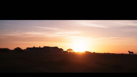 She Stared at the Sunset Every Day — Waiting for What Was Lost