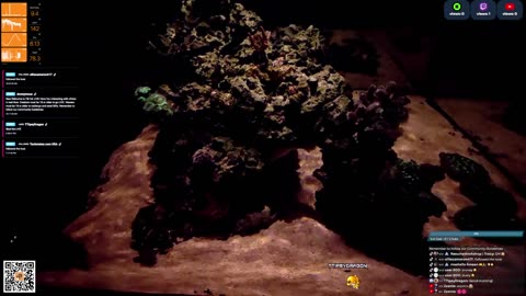 24/7 Real Live Reef Stream