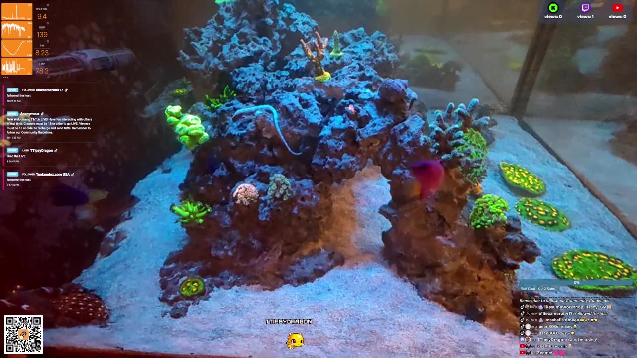 24/7 Real Live Reef Stream