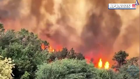 Burn Israel burn
