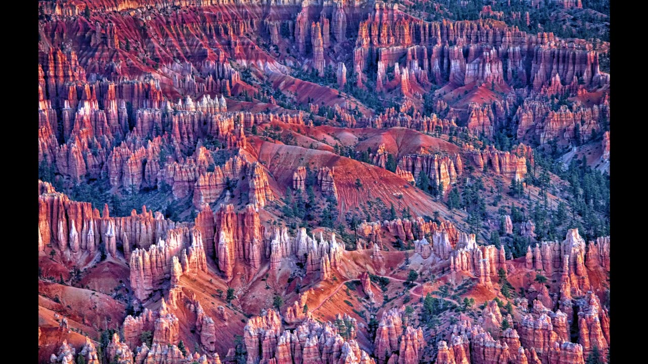 103
