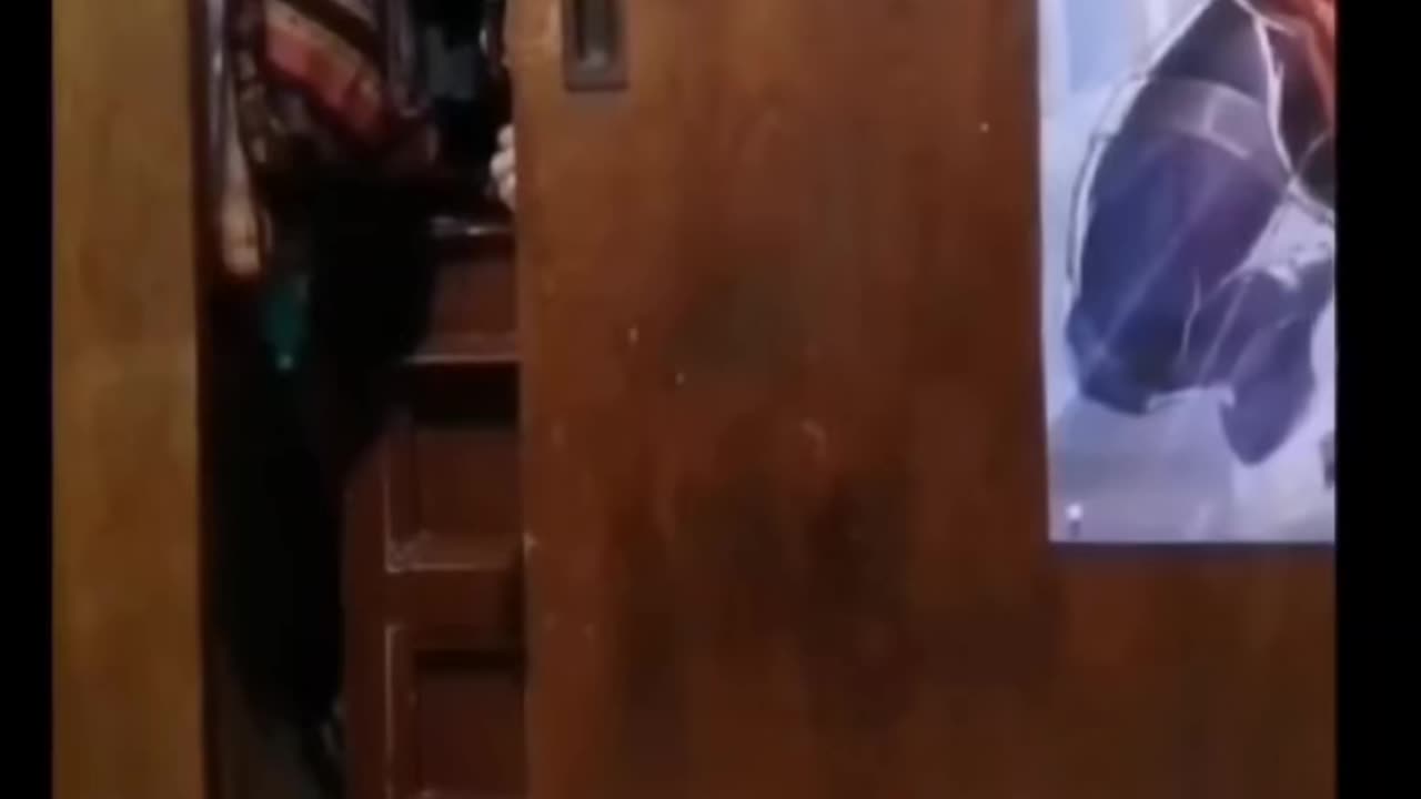 😱👻 You Won't Believe What They Caught on Camera! Scary Comp.10 | TheHauntingHour