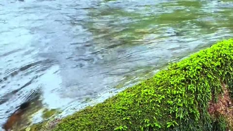 Eastern Mountains: Landscapes so incredible that even the sound of the water seems like a ...