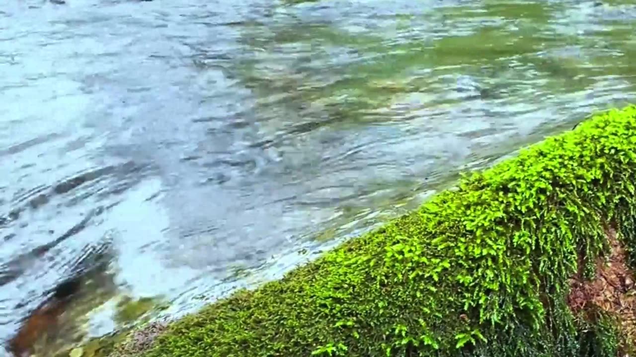 Eastern Mountains: Landscapes so incredible that even the sound of the water seems like a ...