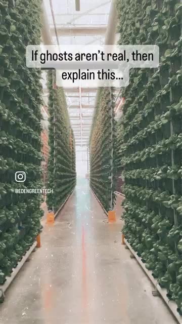 At least Ghosty is being helpful....