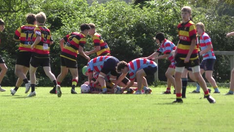 Baa Baa's v Hornsby