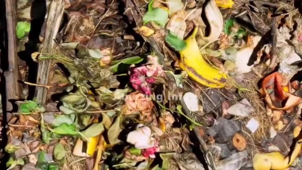 Amazing Informative video