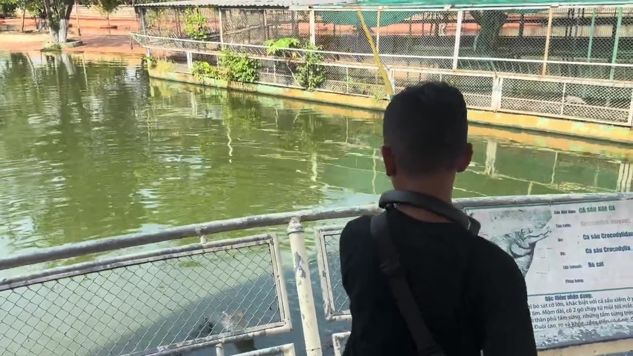 Elly Goes Fishing in Vietnam’s Wild Theme Park — You Won’t Believe What Eats the Bait! 🐊🐔