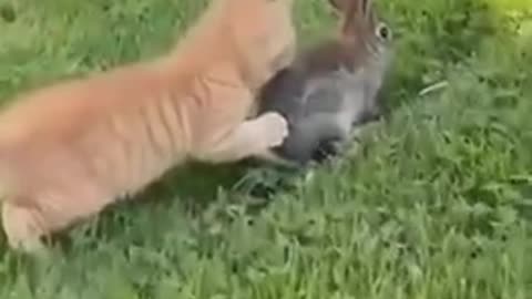 What are friends for