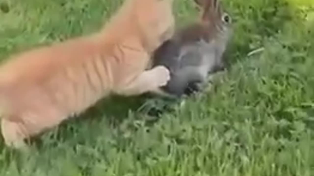 What are friends for