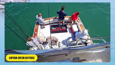 Gear up this Summer with Promar & Ahi USA! #774