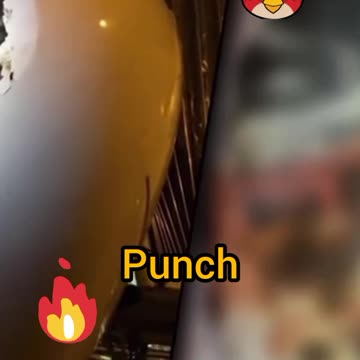 Funny Angry #Bird Punched #Aircraft in The Nose #AeroArduino