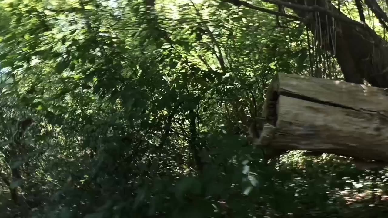 Hiking the Bruce Trail - Thorold 2