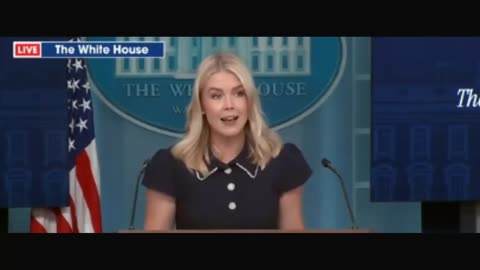 Karoline Leavitt briefing on Adam Schiff releasing CLASSIFIED DOCUMENTS