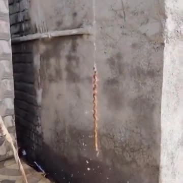 VORTEX PHYSICS IN ACTION