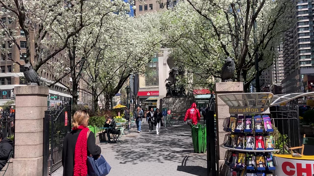 Walking Manhattan: Callers Pear Blossoms (Herald Square)