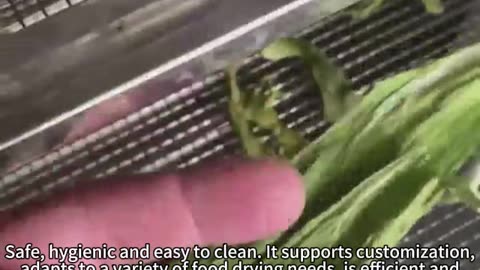 food drying box