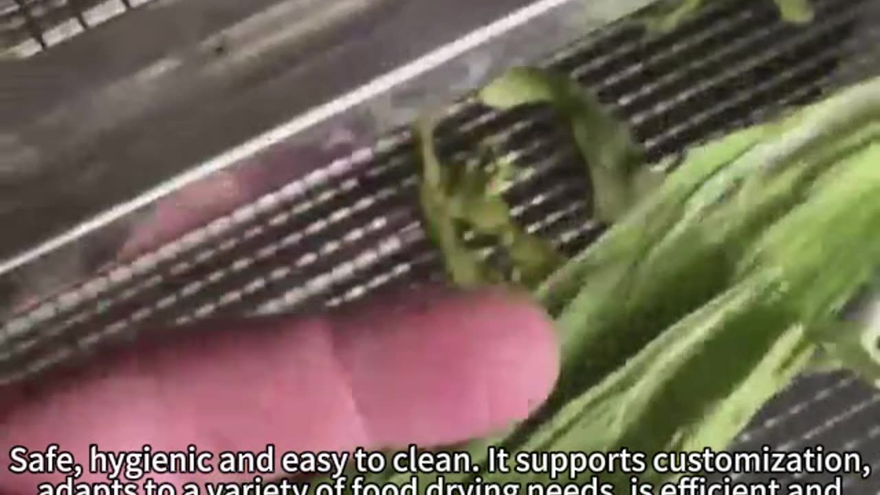 food drying box