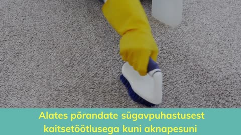Puhastusteenused