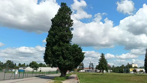 Zkouska Siren (Test of Sirens)