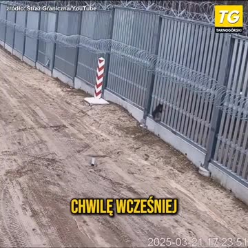 Migrants attack Polish border with angle grinder