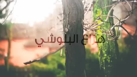 تلاوات خاشعة عذبة للقارىء هزاع البلوشي