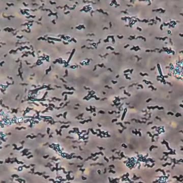 Never liked whiskey but after this I have to drink it 😱🫣