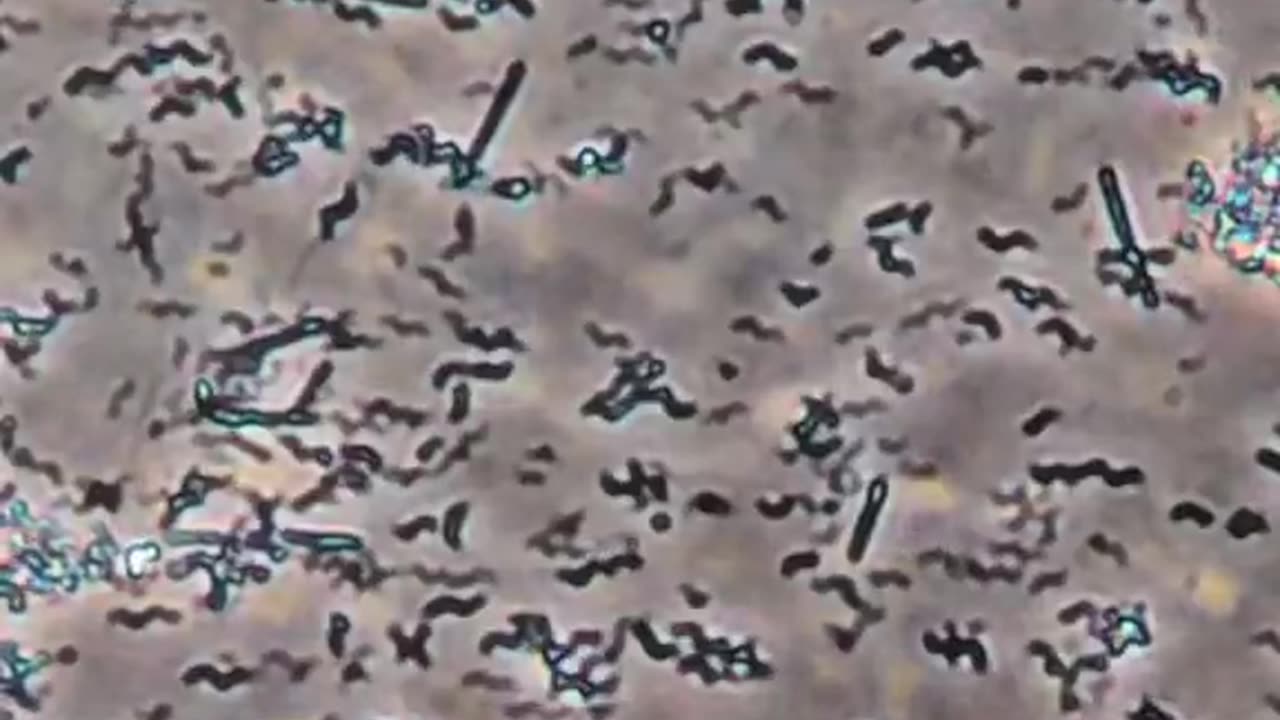 Never liked whiskey but after this I have to drink it 😱🫣