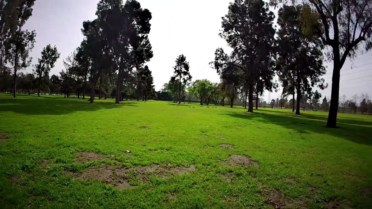 El Dorado East Regional Park Area II