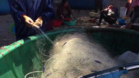 A night of crab fishing in Binh Thuan sea, Vietnam