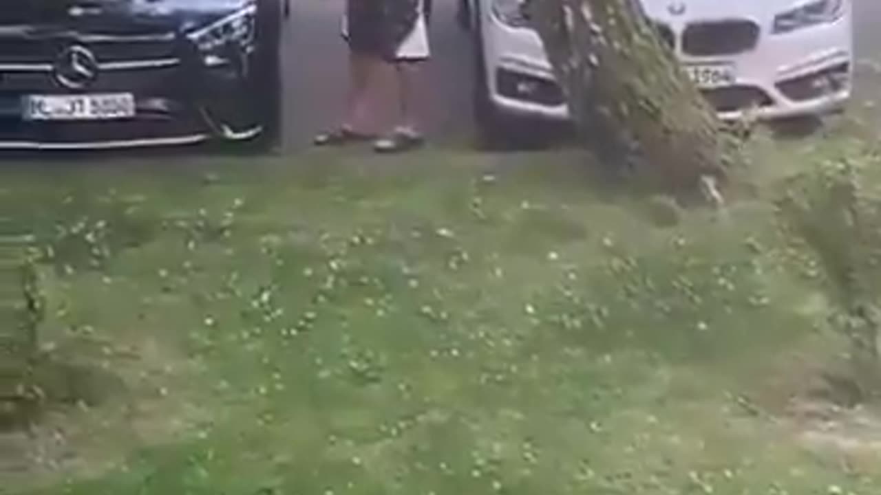 In Germany usual suspect destroys Germans' cars. They hate us.