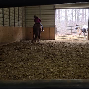 Trying to side pass a barrel horse lol