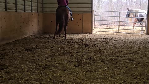 Trying to side pass a barrel horse lol