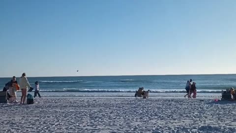 HAPPY NEW YEAR 2026 FROM SIESTA KEY BEACH!